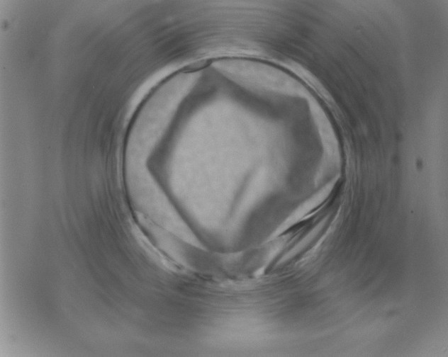 X0000075901246200610151808