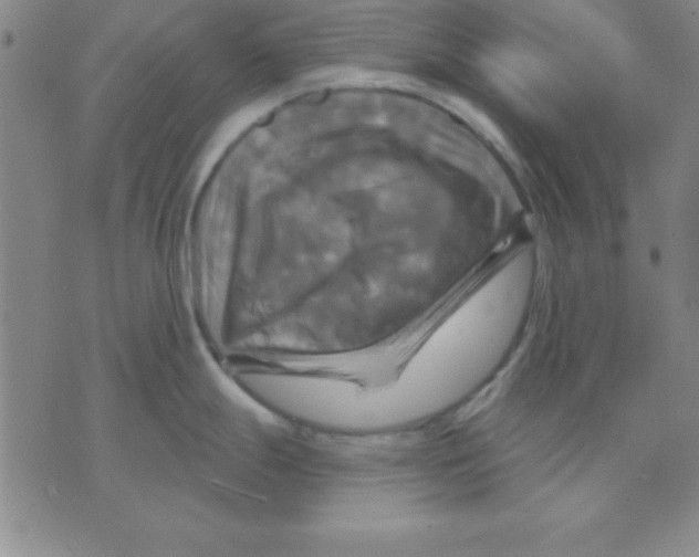 X0000075901247200610151808