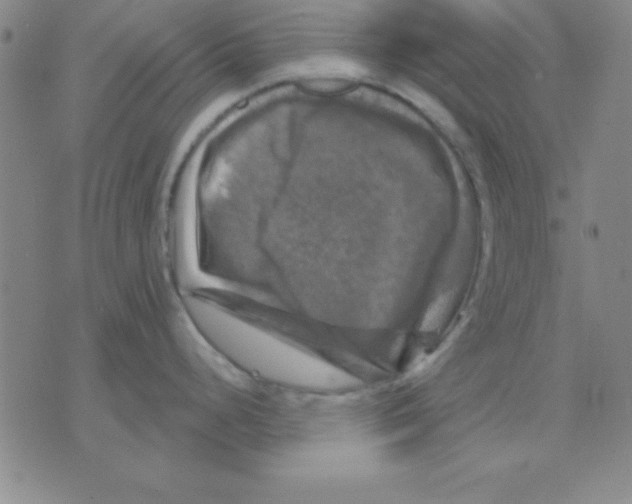 X0000075901248200610151808