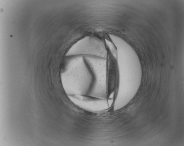 X0000075901249200610151807