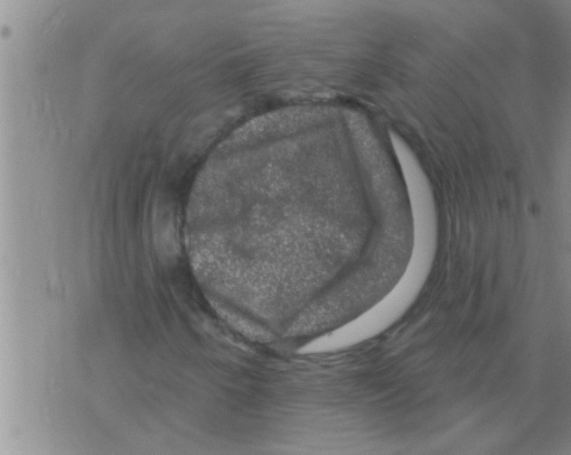 X0000075901250200610151807