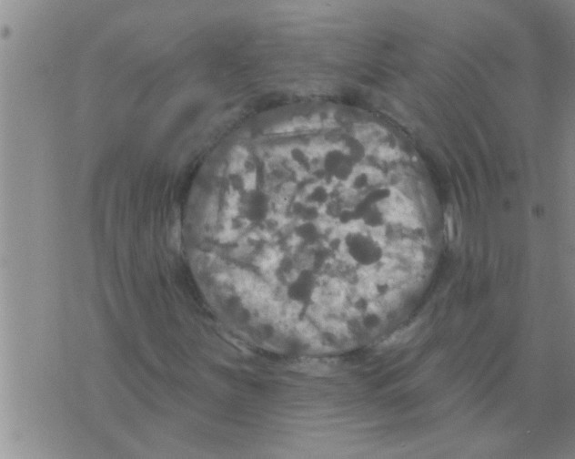 X0000075901251200610151807