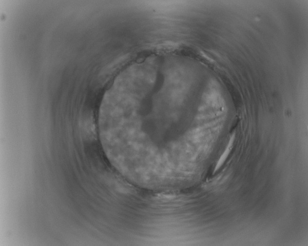 X0000075901252200610151807