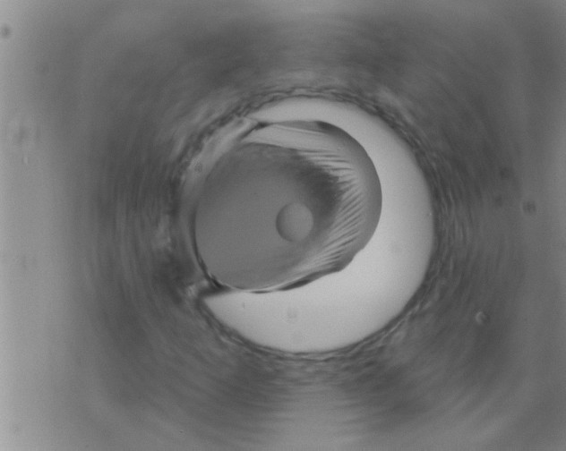 X0000075901253200610151807