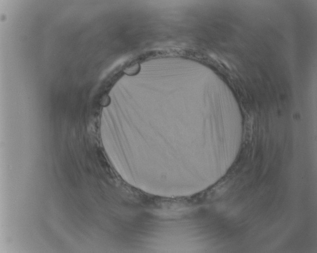 X0000075901254200610151807