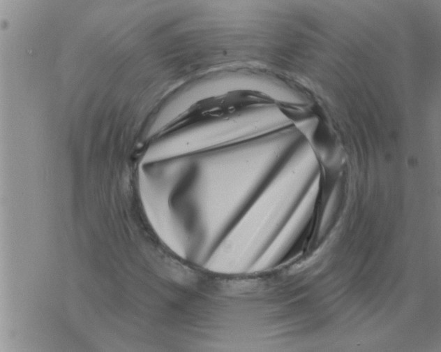 X0000075901257200610151807