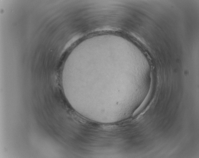 X0000075901258200610151807