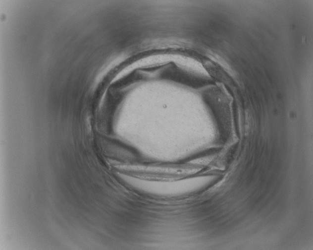 X0000075901261200610151807