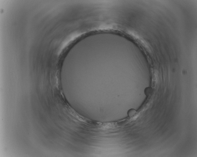 X0000075901262200610151807