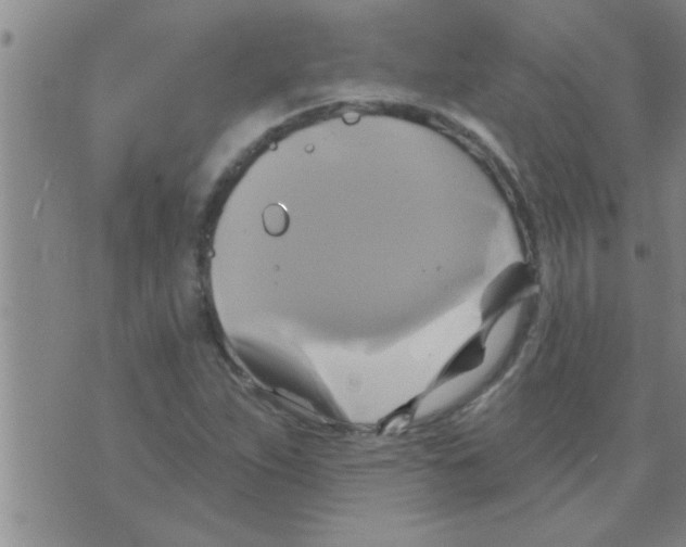 X0000075901263200610151807