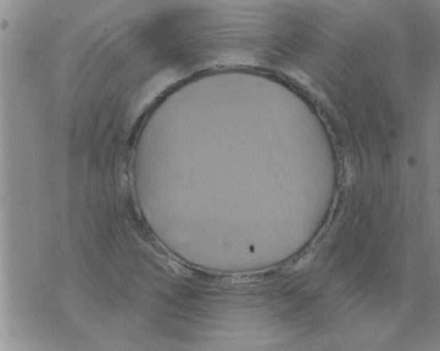 X0000075901266200610151807