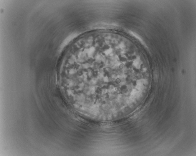 X0000075901267200610151807