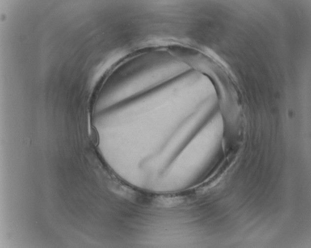 X0000075901269200610151807