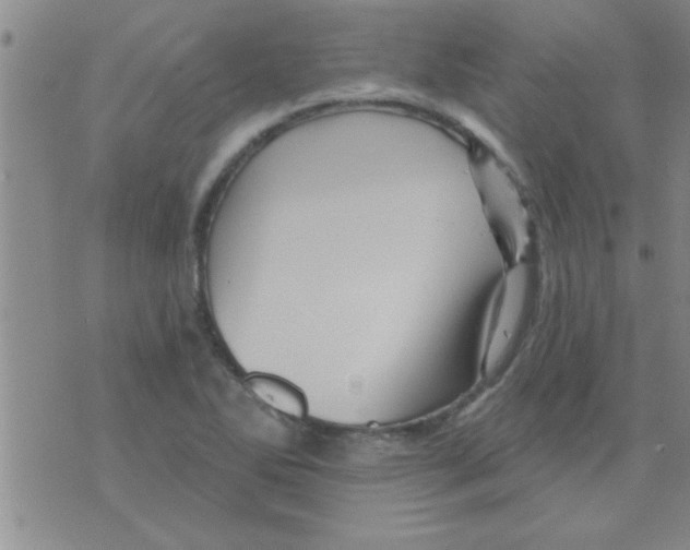 X0000075901270200610151807