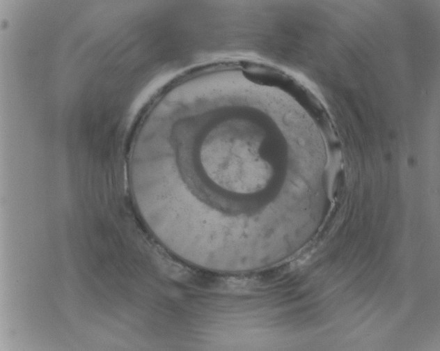 X0000075901271200610151807