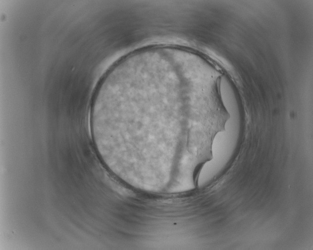 X0000075901272200610151807