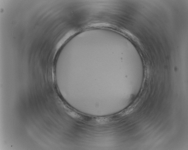 X0000075901274200610151807