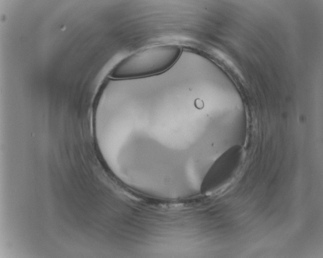 X0000075901275200610151807