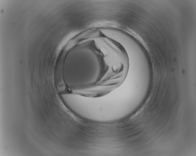 X0000075901277200610151807