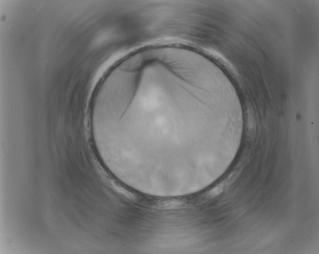 X0000075901278200610151807