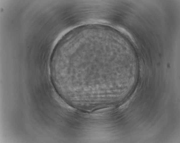 X0000075901280200610151807