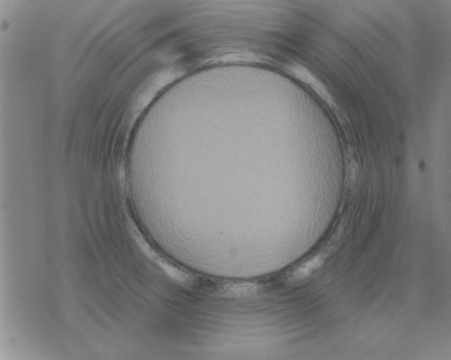 X0000075901282200610151807