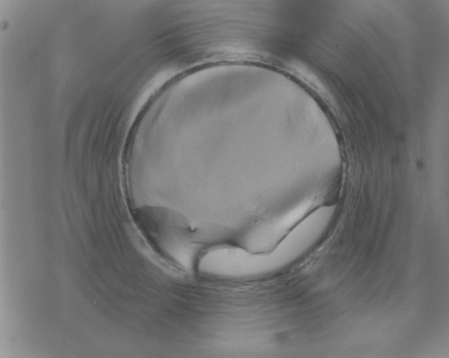 X0000075901283200610151807