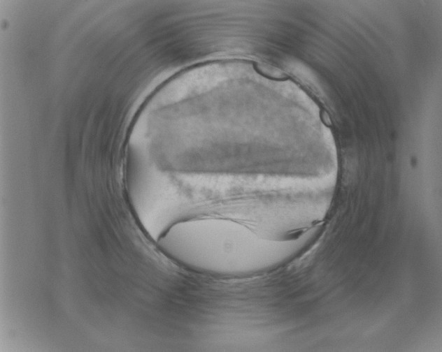 X0000075901284200610151807