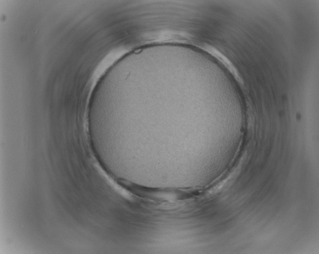 X0000075901285200610151807