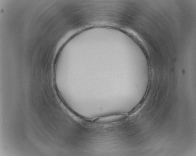 X0000075901286200610151807