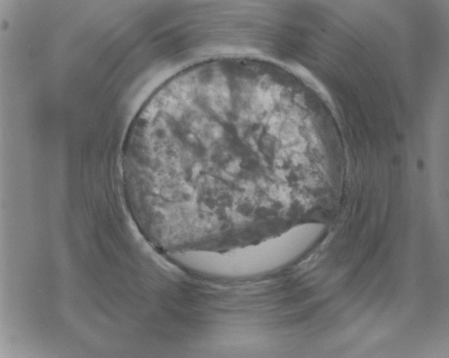 X0000075901287200610151807