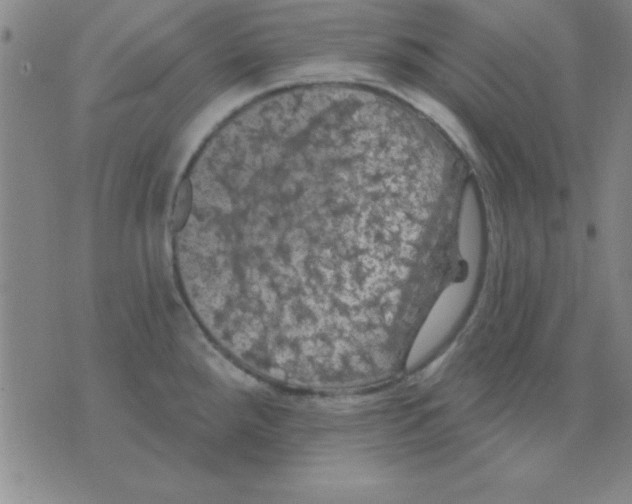 X0000075901288200610151807