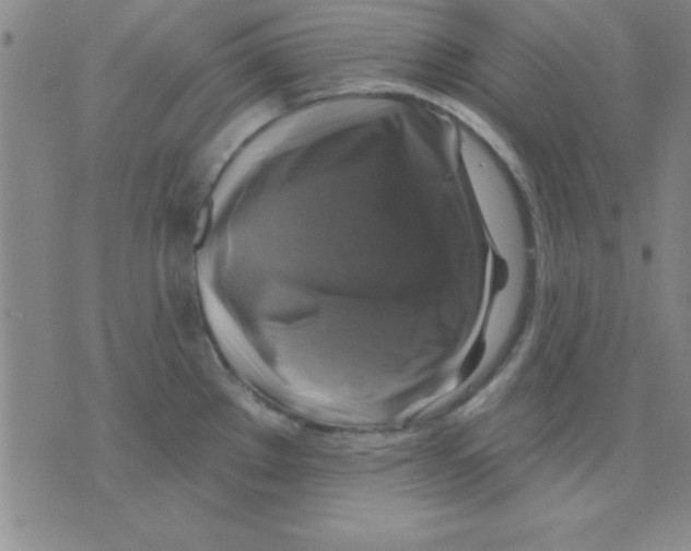 X0000075901289200610151807