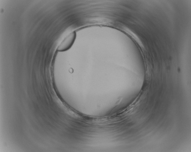 X0000075901291200610151807