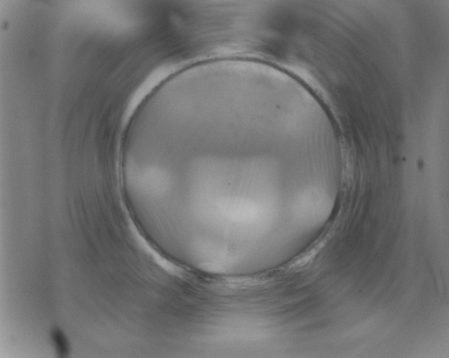 X0000075901294200610151807