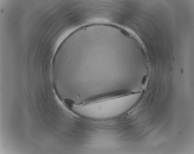 X0000075901295200610151807