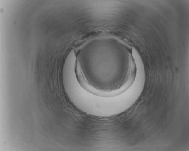 X0000075901297200610151806