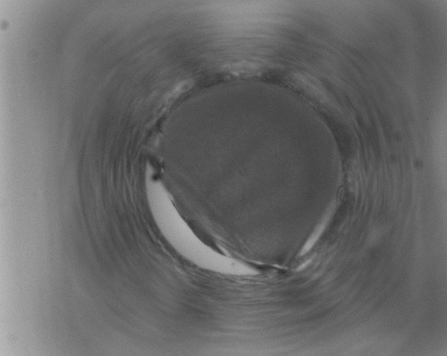 X0000075901298200610151806