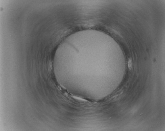 X0000075901299200610151806