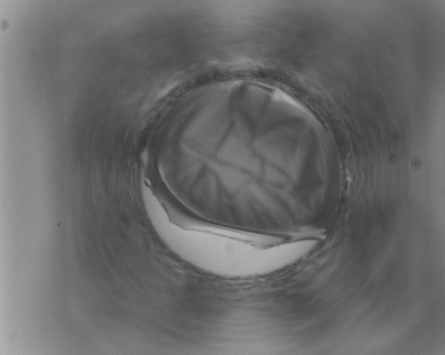 X0000075901301200610151806