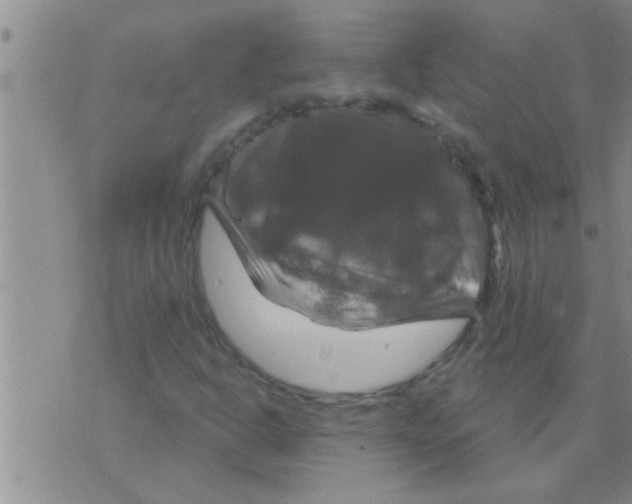 X0000075901302200610151806