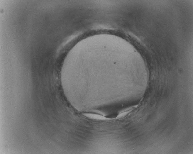 X0000075901303200610151806