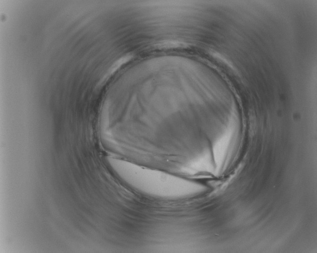 X0000075901305200610151806