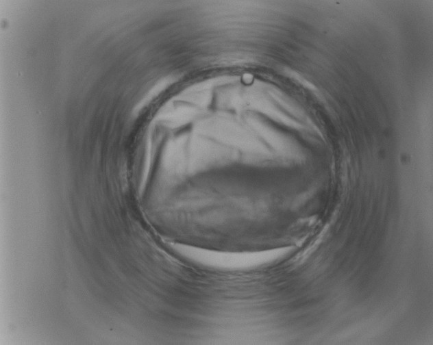 X0000075901306200610151806