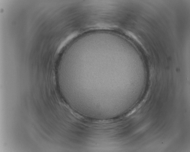 X0000075901307200610151806