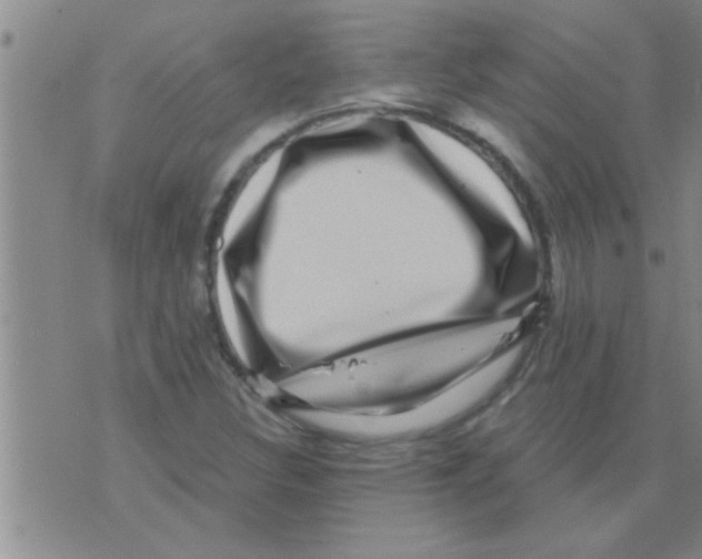 X0000075901308200610151806