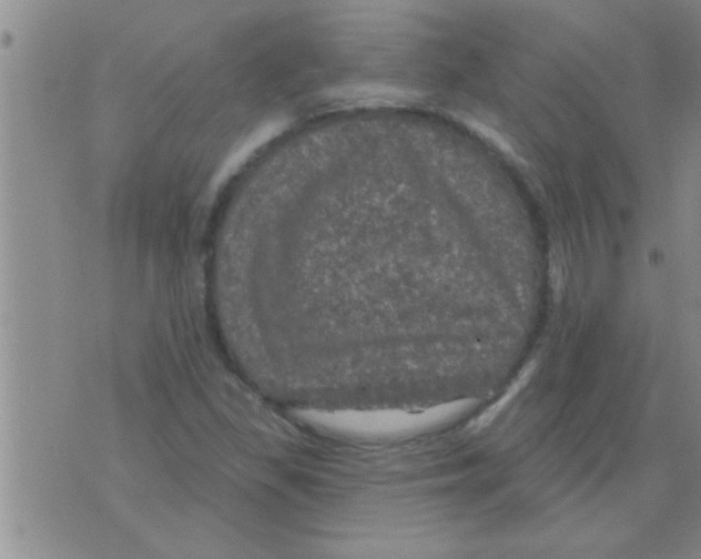 X0000075901309200610151806