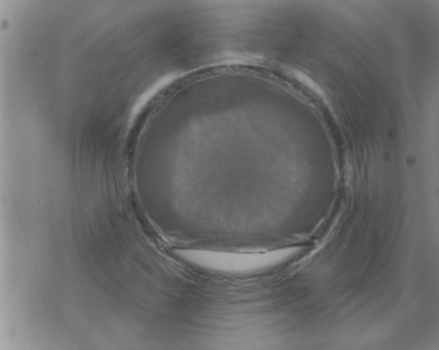 X0000075901310200610151806