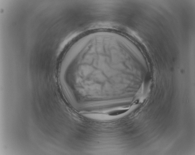 X0000075901312200610151806