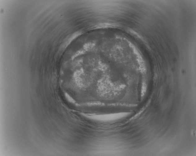 X0000075901313200610151806